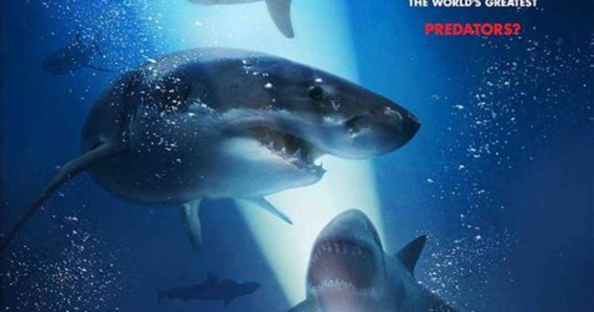 47 Meters Down - Cast, Ages, Trivia