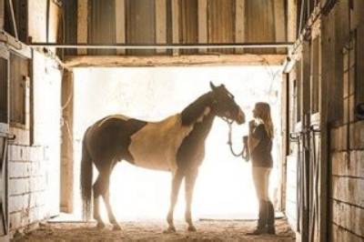 A Champion Heart - Cast, Ages, Trivia