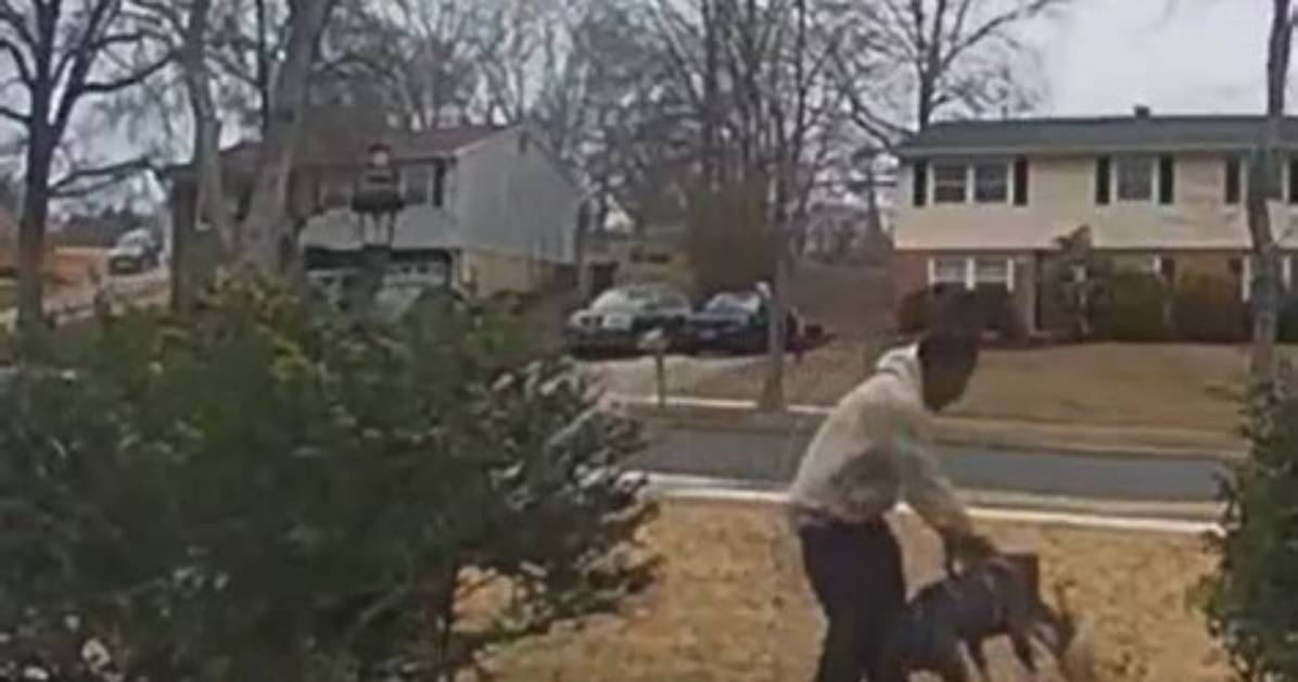 A Neighbor’s Pitbull Killed a 7-Year-Old Girl in Her Yard in Louisiana
