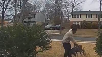 A Neighbor’s Pitbull Killed a 7-Year-Old Girl in Her Yard in Louisiana