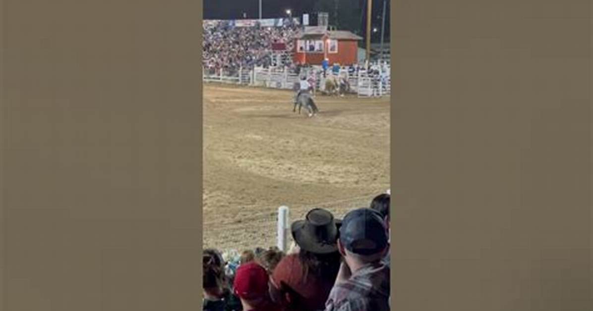 Adam Lucero Bull Rider Accident -Is He Okay?