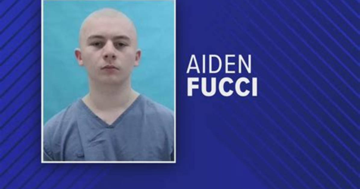 Aiden Fucci Mental Health Update: Why Did He Stab Tristyn? Documentary and Testimony