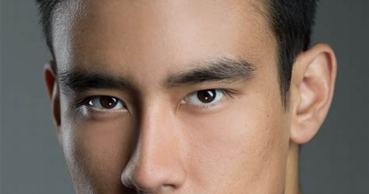 Alex Landi Bio (Wiki)