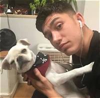 Archie Renaux Pets - Celebrity Pets