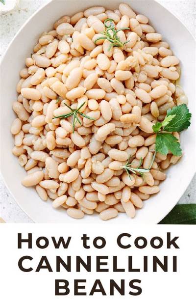 Are Cannellini Beans the Same as Pinto Beans?