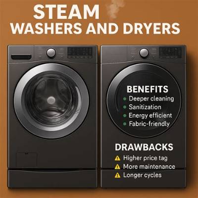 Are Dryers with Steam Worth It?