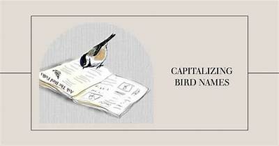 Are Names of Birds Capitalized?