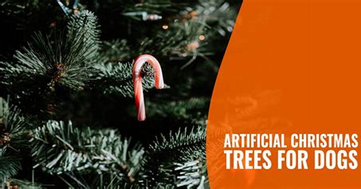 Are Real Christmas Trees Harmful to Dogs?