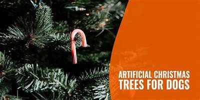 Are Real Christmas Trees Harmful to Dogs?