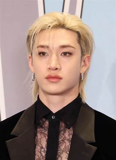 Bang Chan Bio (Wiki)