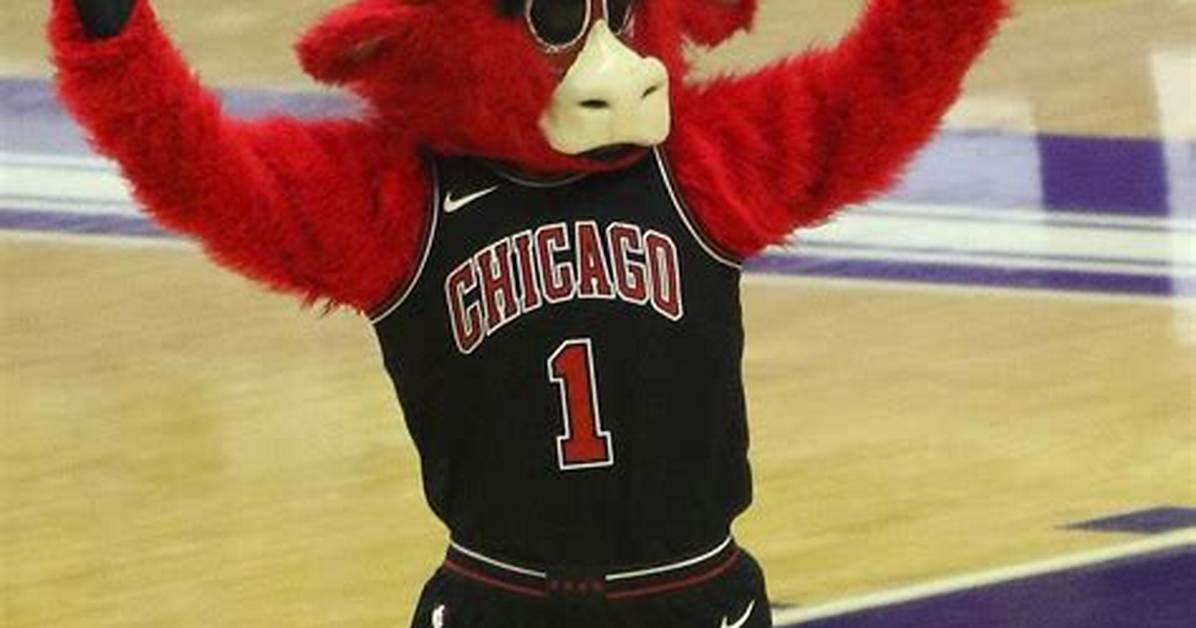 Benny the Bull Age, Birthday, Wikipedia, Who, Nationality, Biography