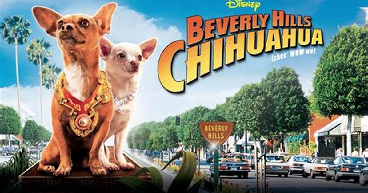 Beverly Hills Chihuahua Film Trumps Dicaprio Crowe Thriller at the Box Office