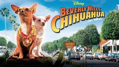 Beverly Hills Chihuahua Film Trumps Dicaprio Crowe Thriller at the Box Office