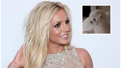 Britney Spears Gets a New Puppy from Sam Asghari Named Porsha!