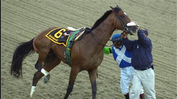 Bruce Walquist Accident, What Happened to Him? Injury Health Update
