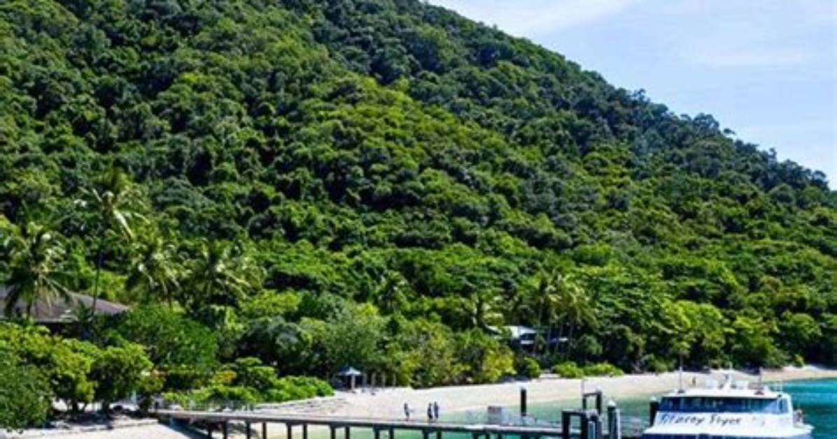 Cairns Shore Excursions & Cruise Excursions