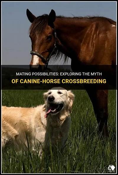 Can a Dog and a Horse Mate?