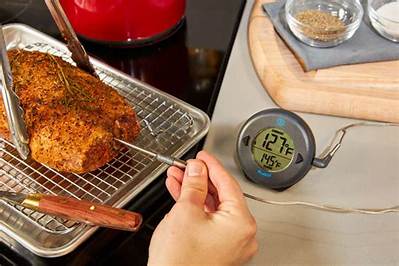 Can a Meat Thermometer Be Used as an Oven Thermometer?