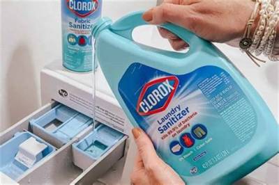 Can I Use Bleach in My Dishwater?