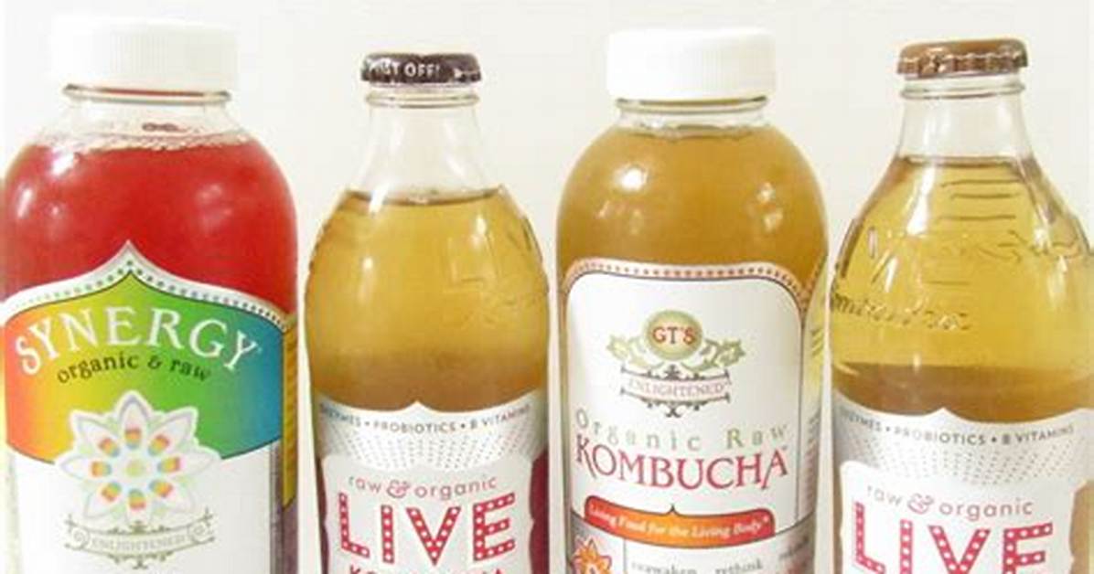 Can My Dog Drink Kombucha?