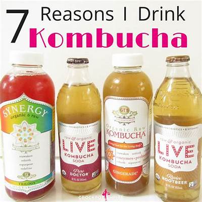 Can My Dog Drink Kombucha?