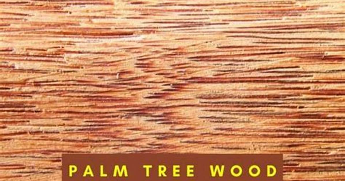 Can Palm Tree Wood Be Burned?