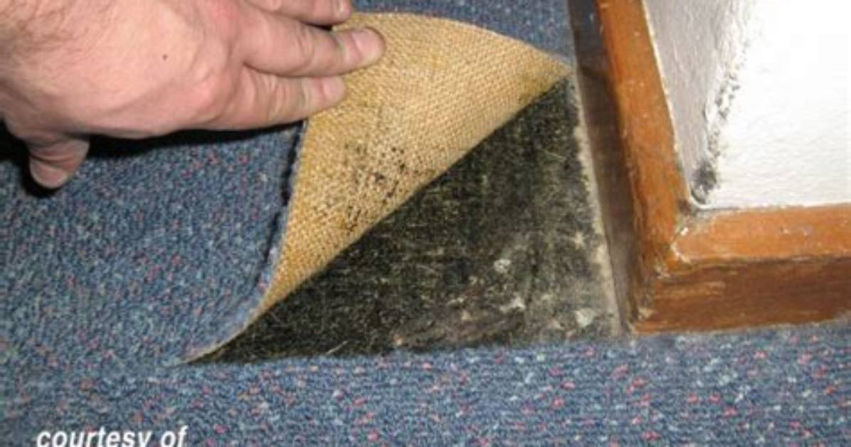 Can There Be Asbestos in Carpet Underlay?