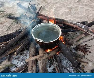 Can You Boil Water on a Wood Stove?