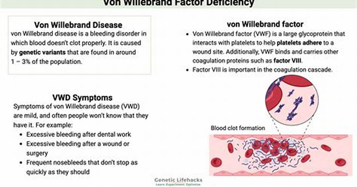 Can You Die from Von Willebrand Disease?
