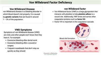 Can You Die from Von Willebrand Disease?