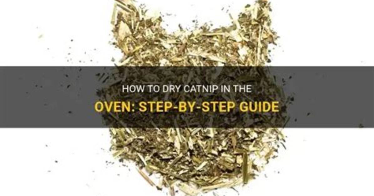 Can You Dry Catnip in the Oven?