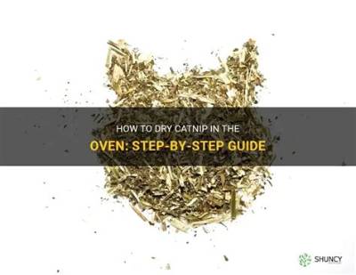 Can You Dry Catnip in the Oven?