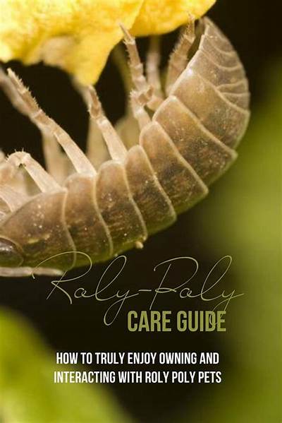 Can You Eat Roly Polys?