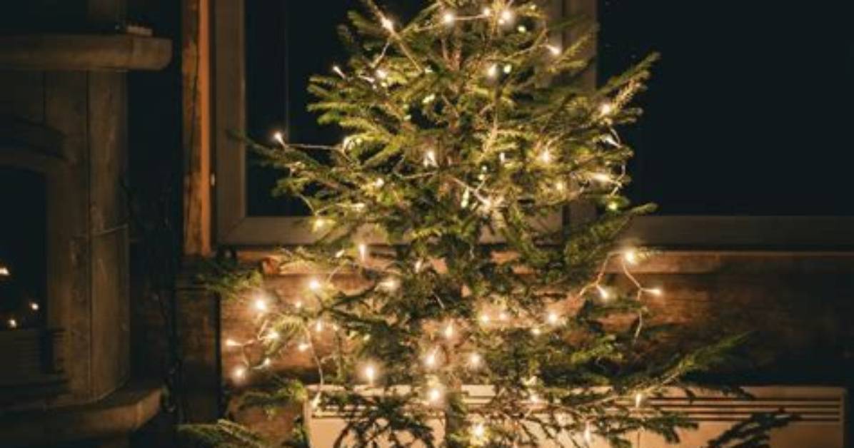Can You Leave an Artificial Tree Plugged in?