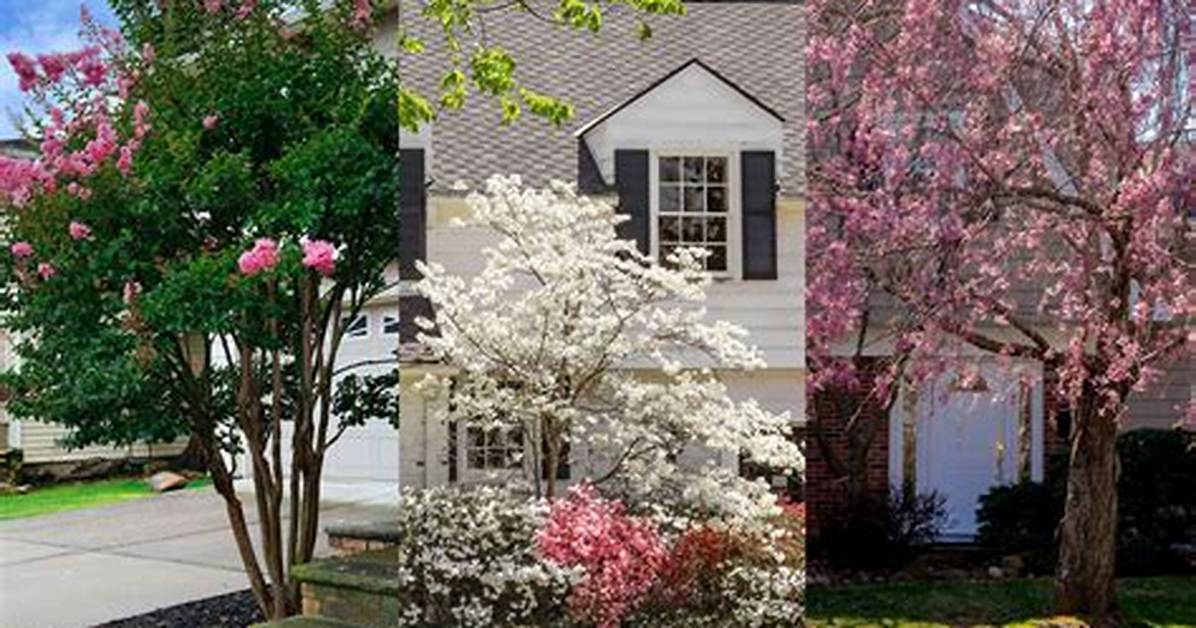 Can You Plant Next to a Tree Stump?