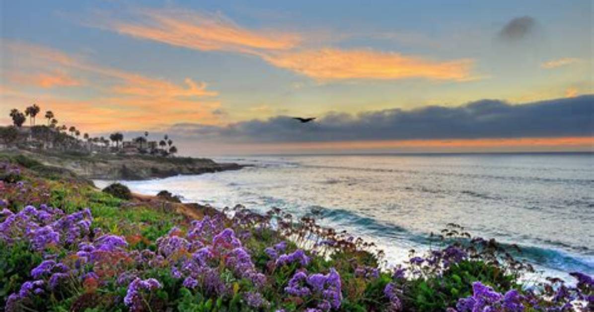 Can You Put Flowers in the Ocean?