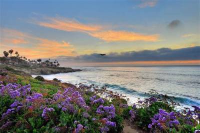 Can You Put Flowers in the Ocean?
