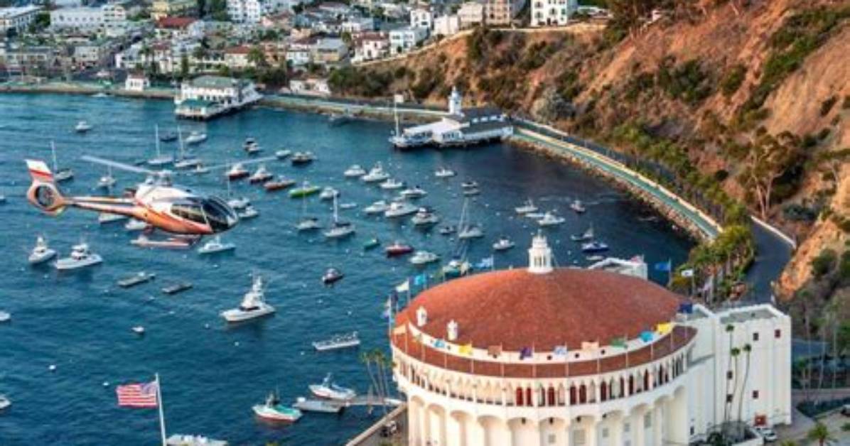 Catalina Island Shore Excursions & Cruise Excursions