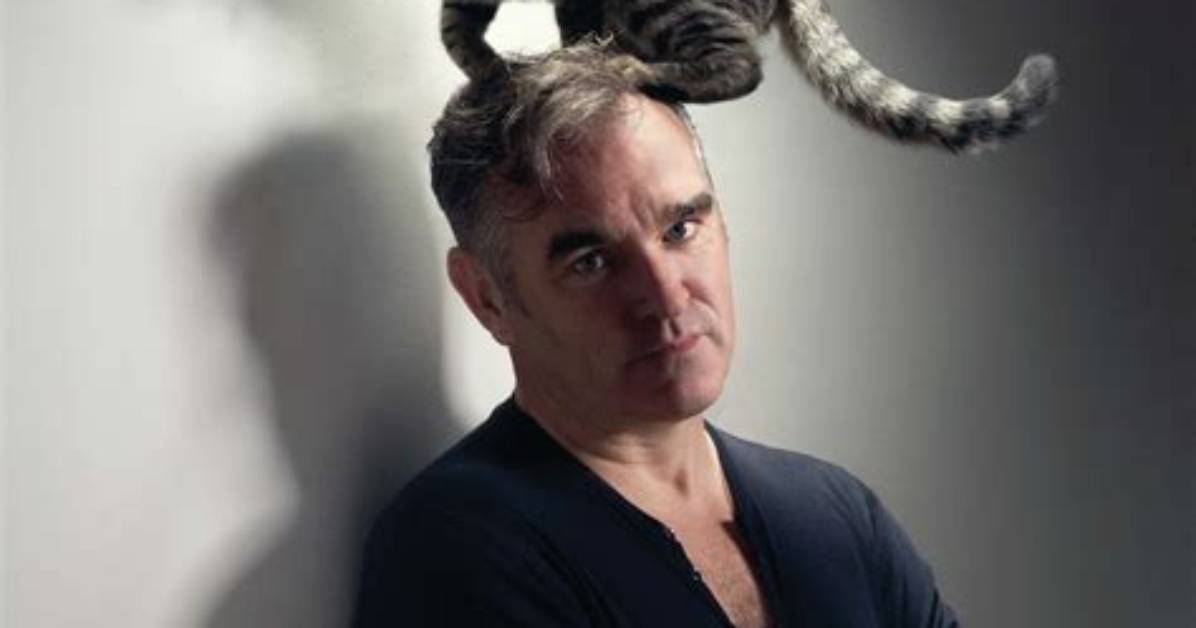 Celebrities Named Cat