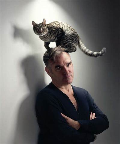 Celebrities Named Cat