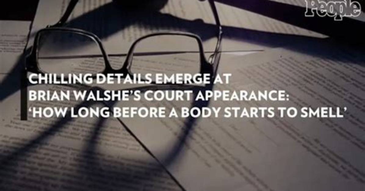 Chilling Details Emerge at Brian Walshe’s Court Appearance: ‘How Long Before a Body Starts to Smell’
