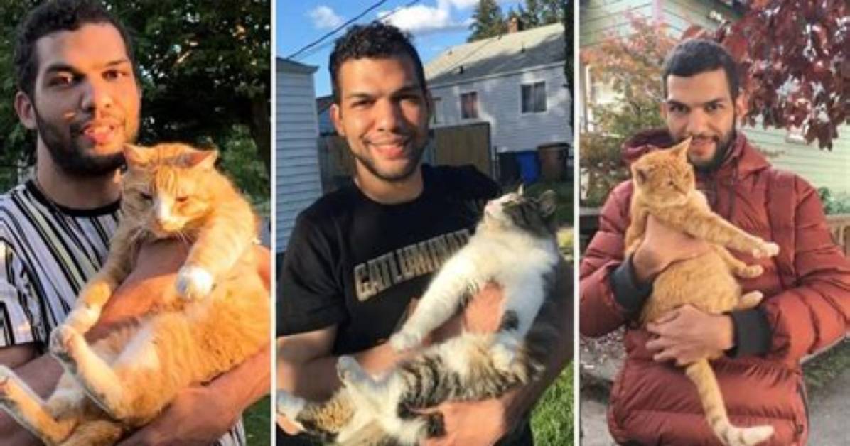 Christopher Watson @Thecatluminati Is a Cat Whisperer That Delights Felines and Humans