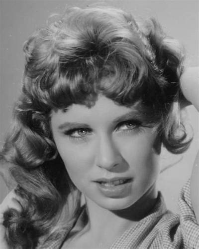 Cindy Robbins Bio (Wiki)