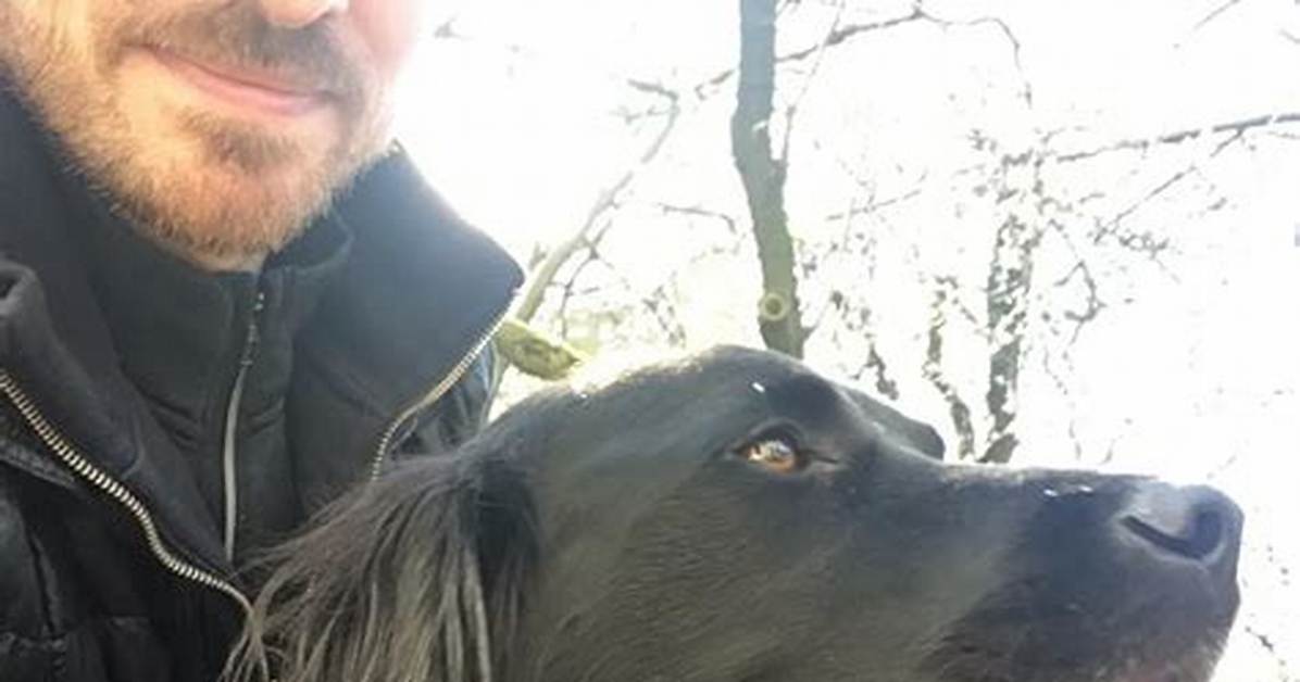 Colin O'donoghue Pets - Celebrity Pets