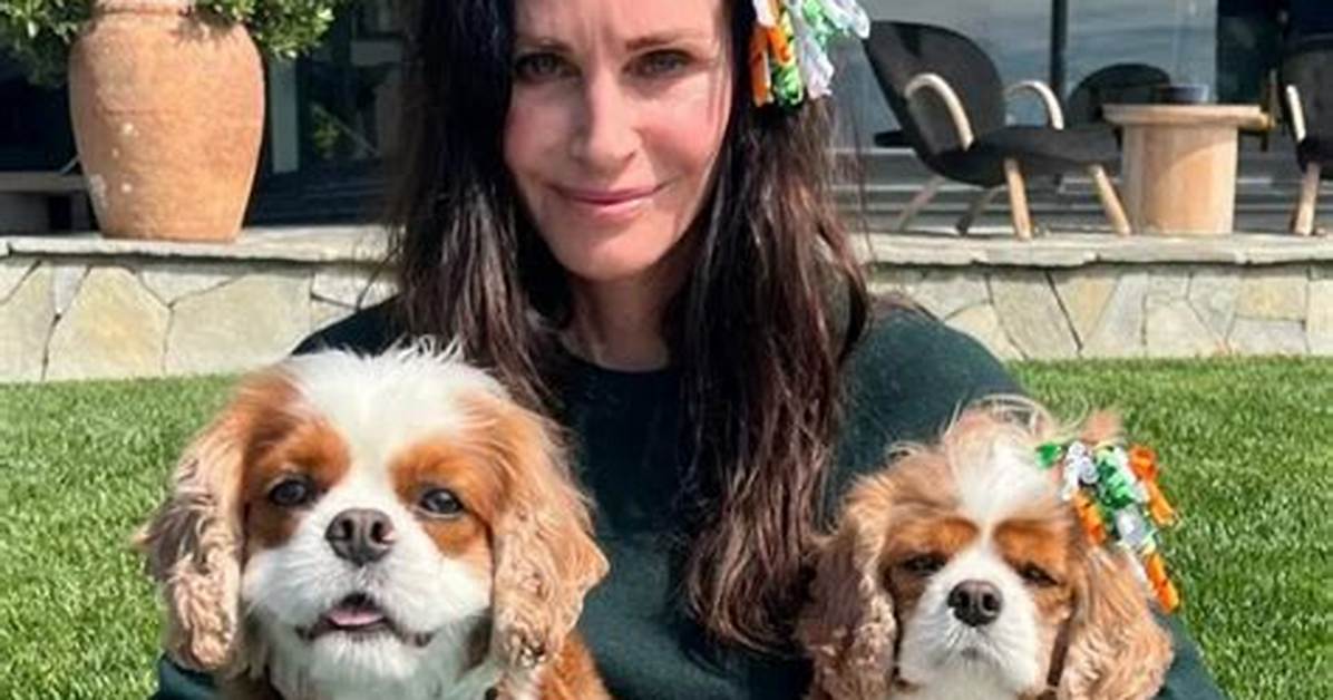 Courteney Cox Pets - Celebrity Pets