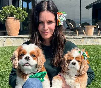Courteney Cox Pets - Celebrity Pets