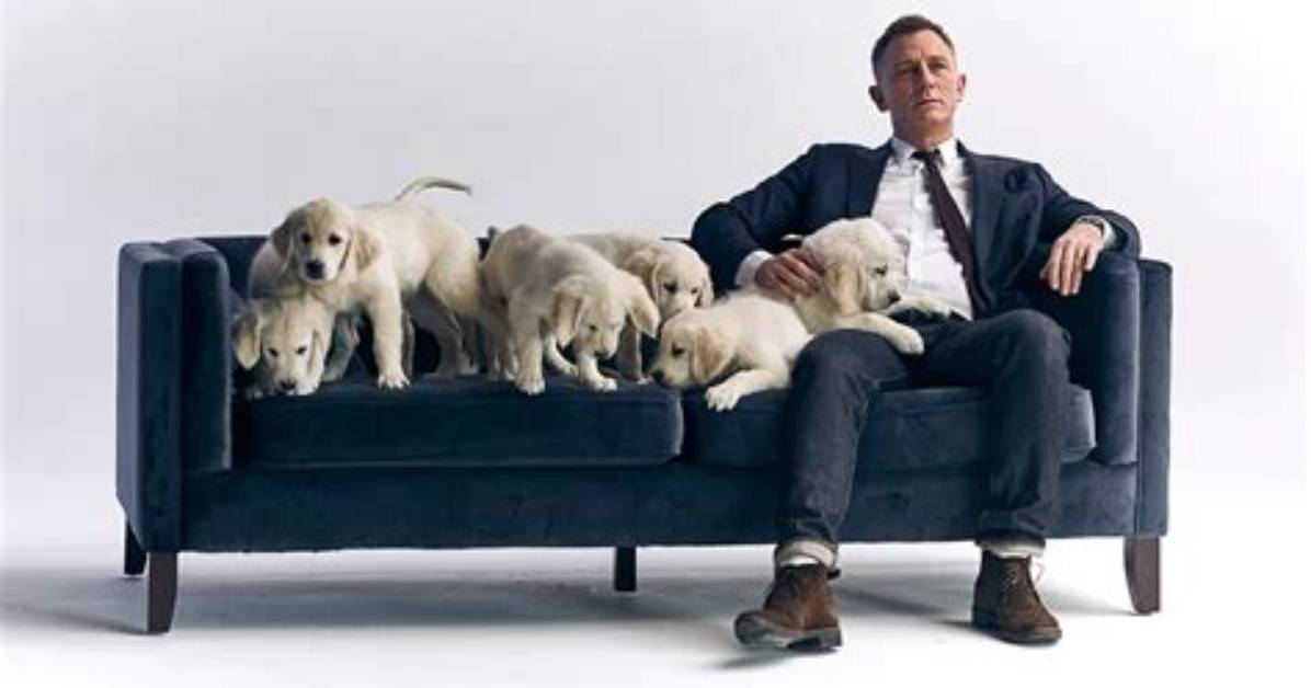 Daniel Craig Teams up with Cute Puppies for Charity