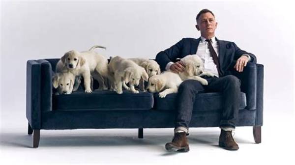 Daniel Craig Teams up with Cute Puppies for Charity