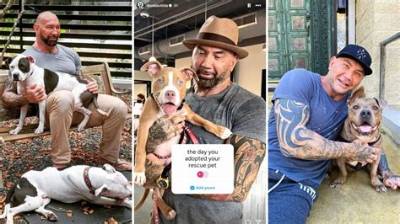 Dave Bautista Promotes Dog Adoptions and Rescue Centers for ‘Adopt a Shelter Pet Day’