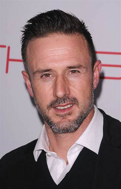 David Arquette Bio (Wiki)